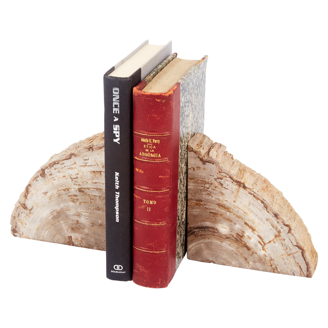 Set of cream and brown petrified wood bookends, perfect for shelves, desks, or stylish home office decor.