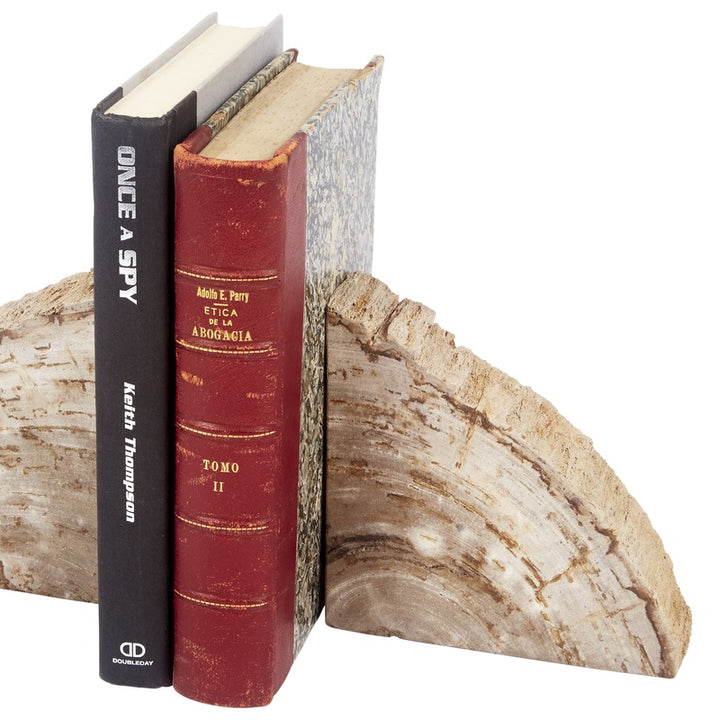Cream and brown petrified wood bookends holding two books, one dark and one red