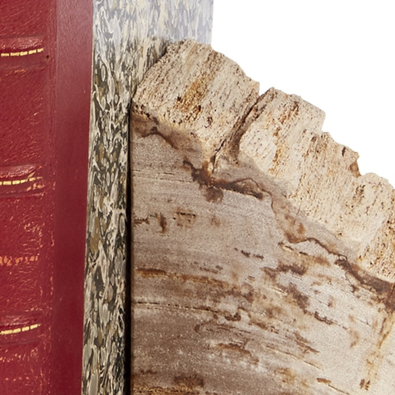 Cream and brown petrified wood bookend with rough fossil-like grain, close-up