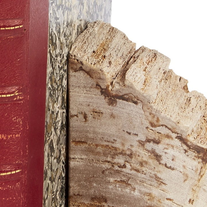 Cream and brown petrified wood bookend with rough fossil-like grain, close-up