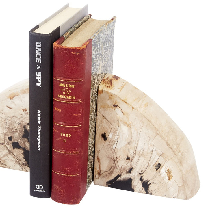 Petrified wood-style bookends, one cream and one dark textured slab, holding books upright