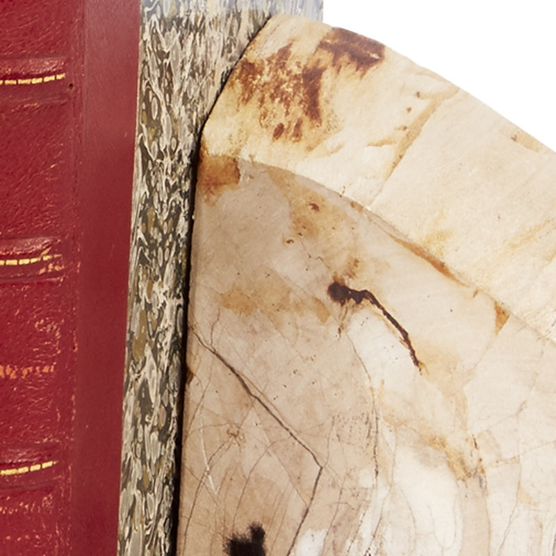 Textured petrified wood-style bookend block, cream with dark speckling and marbled veins