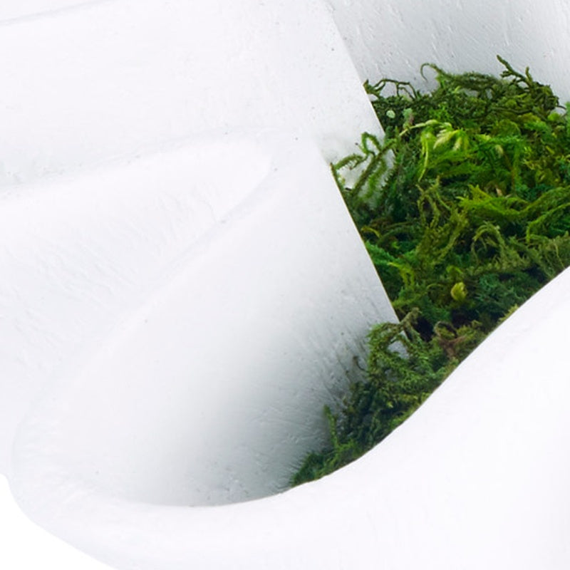 Close-up of white gesso bowl rim with green moss inside