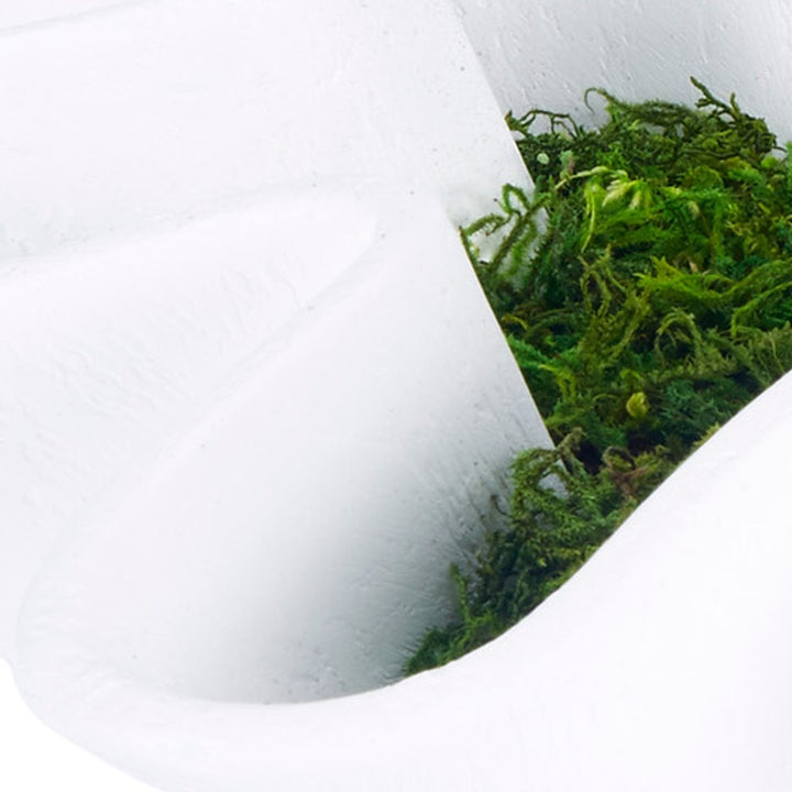 Close-up of white gesso bowl rim with green moss inside