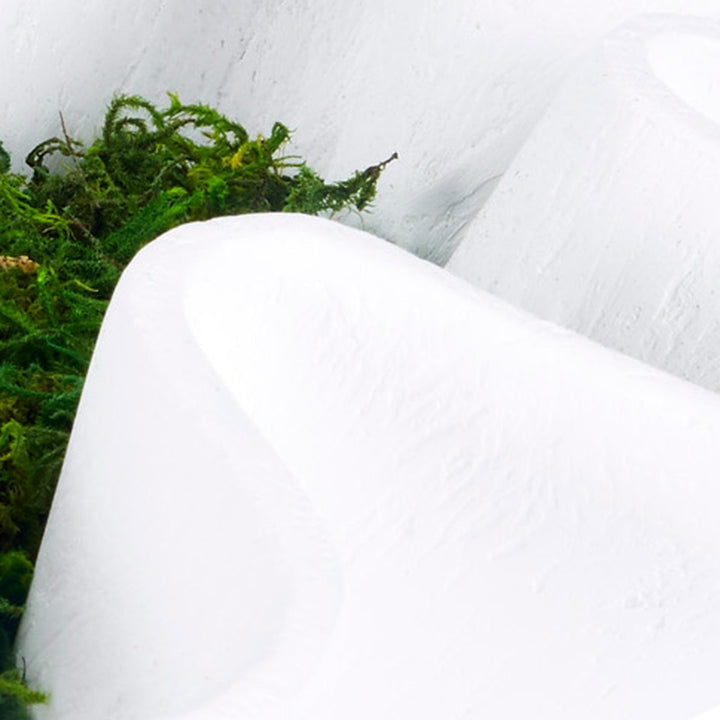 White gesso bowl interior with textured surface and green moss edge