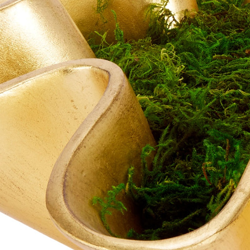 Gold leaf bowl detail with curved gold rim and green moss filling the center